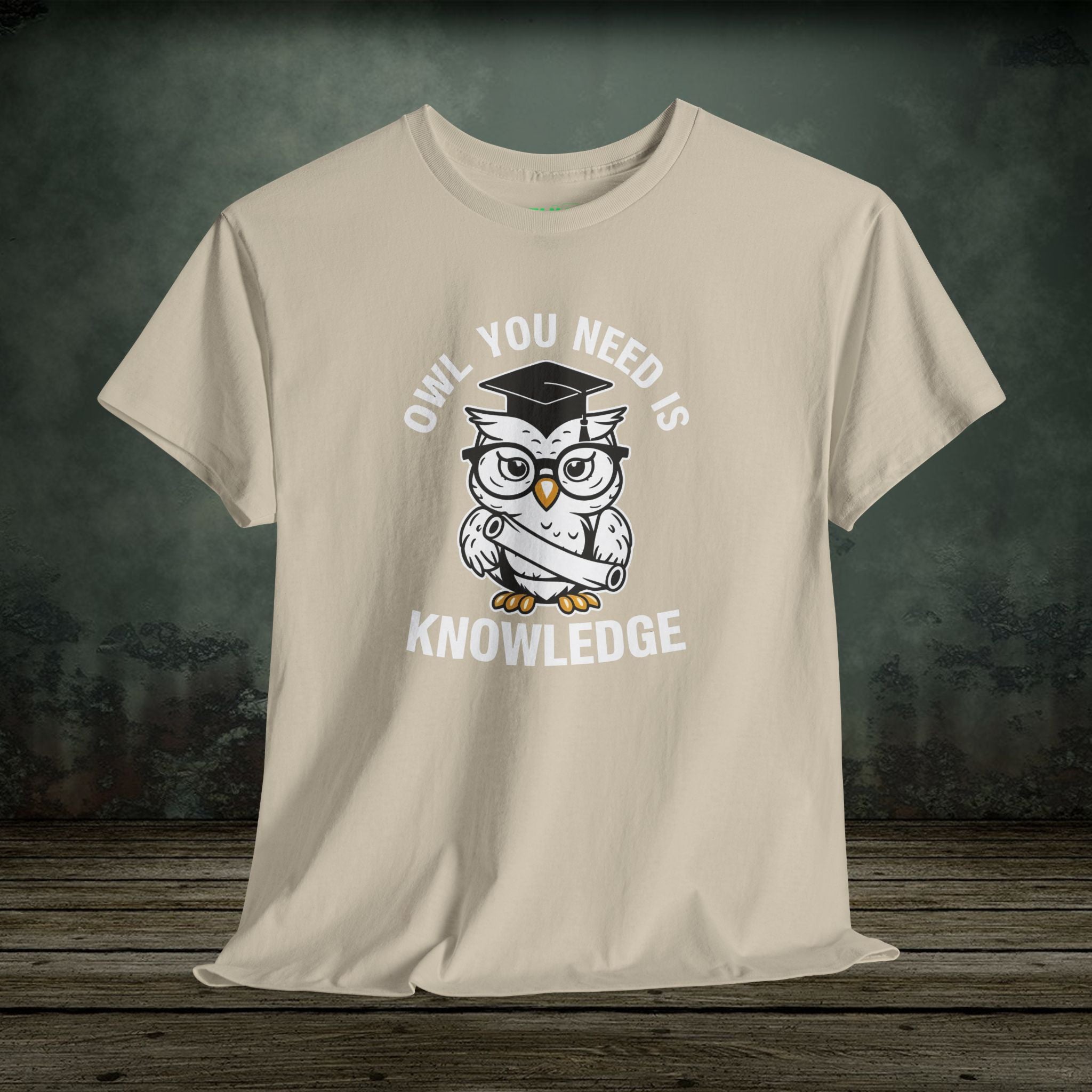 Owl You Need Is Knowledge T-Shirt – Funny Tee for Teachers & Owl Lovers