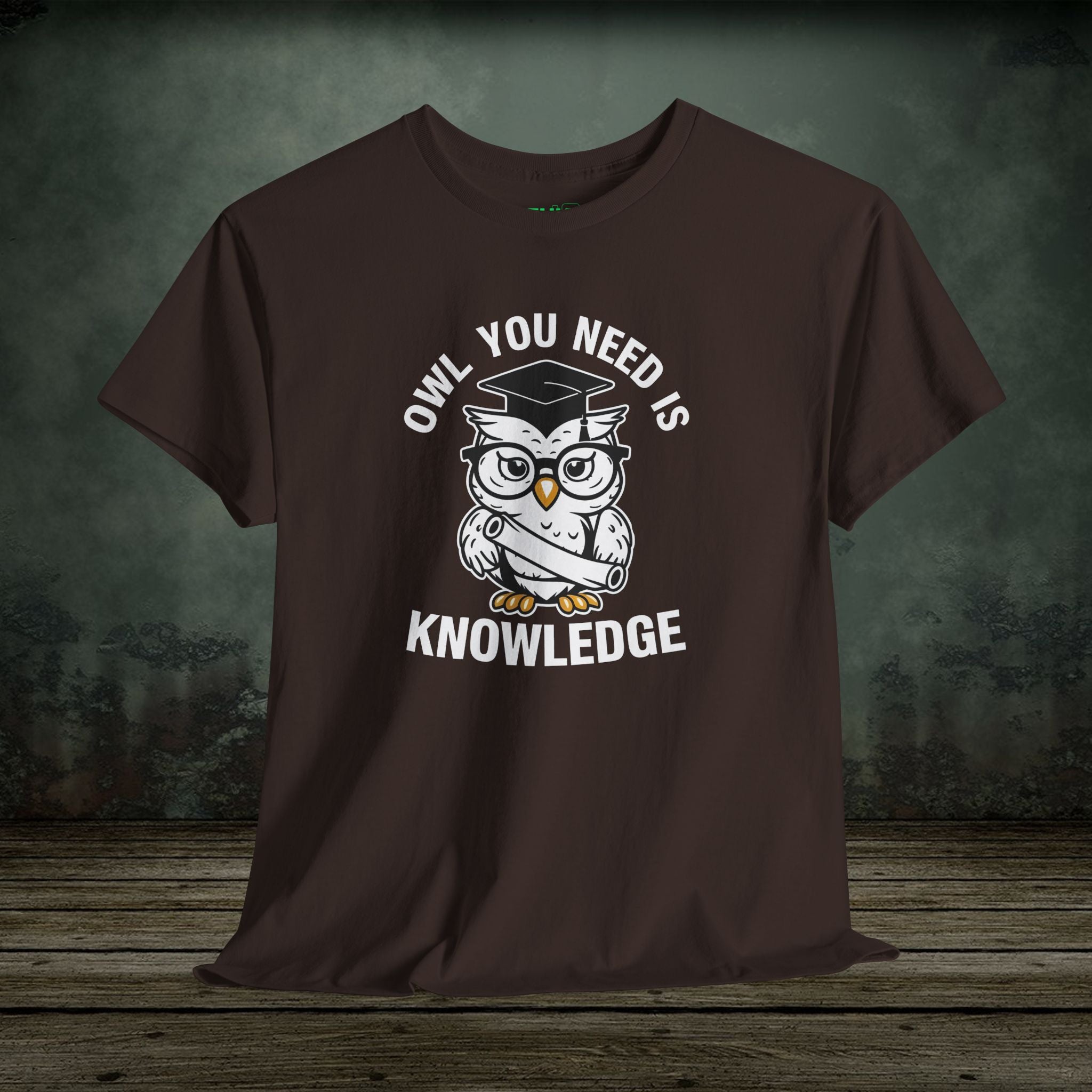Owl You Need Is Knowledge T-Shirt – Funny Tee for Teachers & Owl Lovers