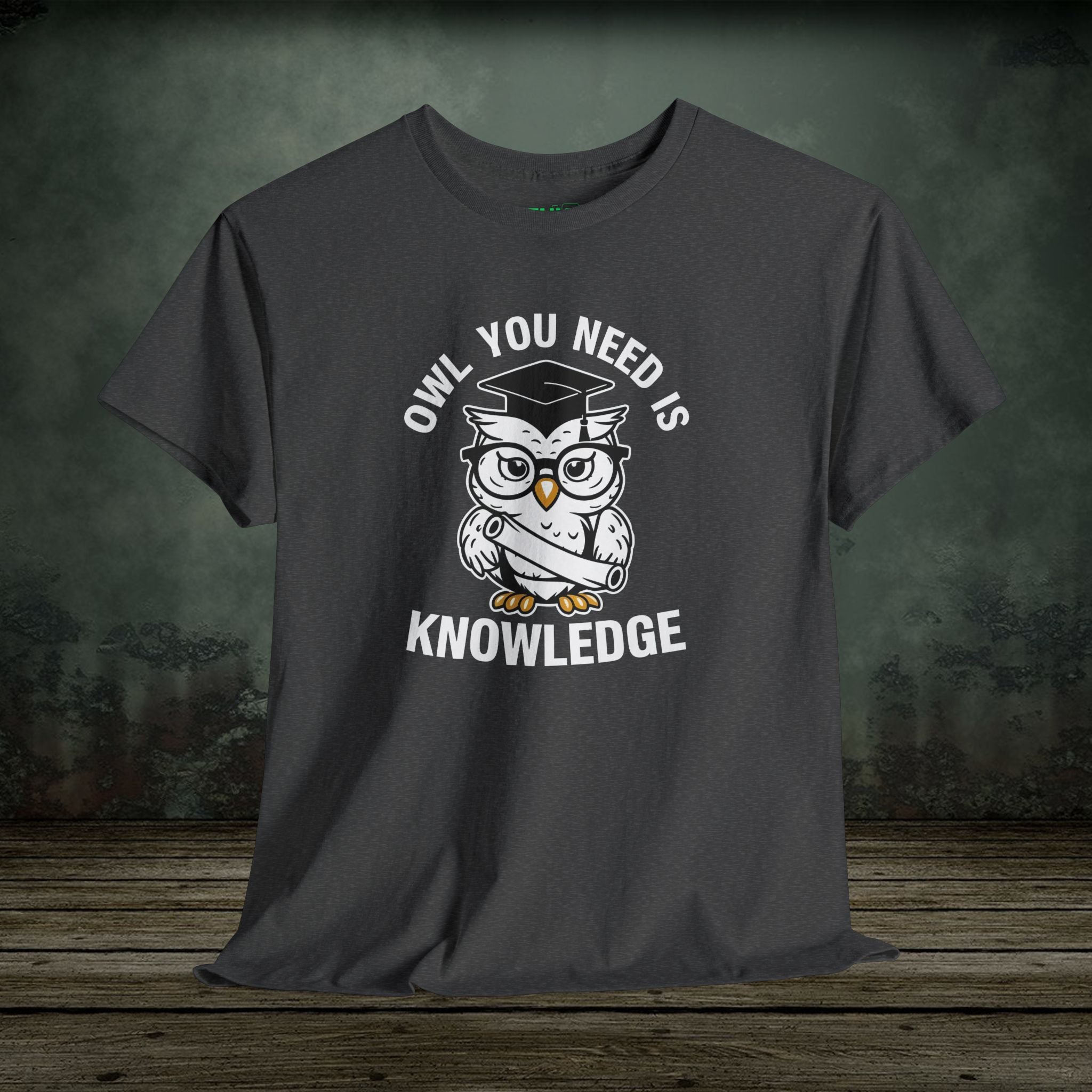 Owl You Need Is Knowledge T-Shirt – Funny Tee for Teachers & Owl Lovers